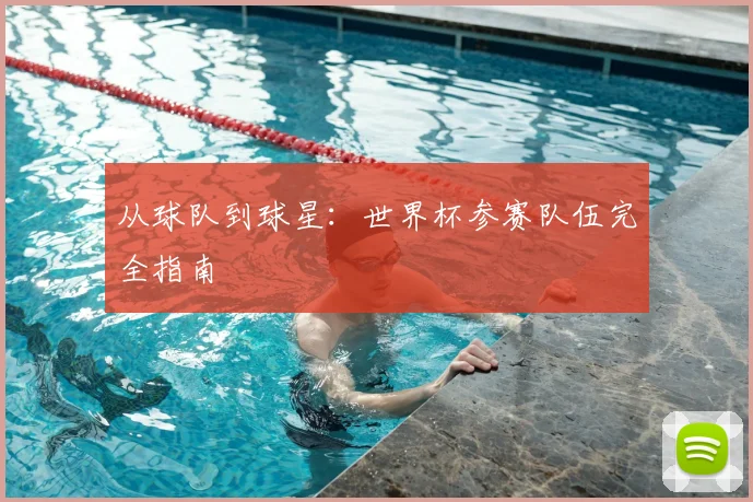 从球队到球星：世界杯参赛队伍完全指南