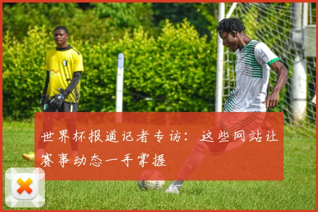 世界杯报道记者专访:这些网站让赛事动态一手掌握