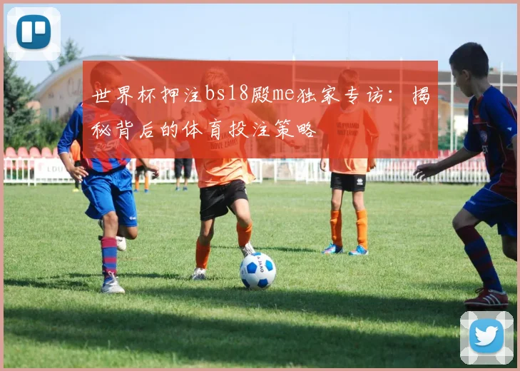 世界杯押注bs18殿me独家专访：揭秘背后的体育投注策略