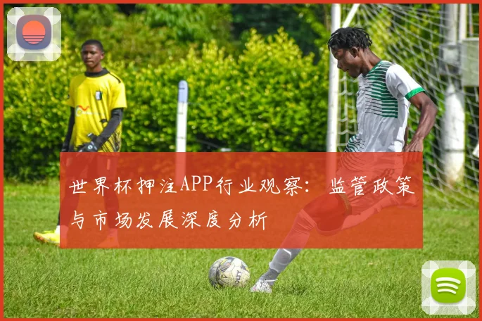 世界杯押注APP行业观察：监管政策与市场发展深度分析