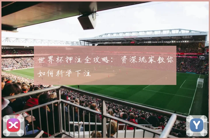 世界杯押注全攻略:资深玩家教你如何科学下注