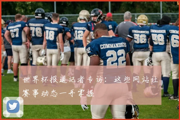 世界杯报道记者专访:这些网站让赛事动态一手掌握