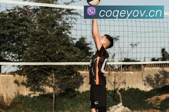 开云官方在线登陆入口品牌故事